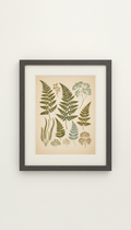 Botanical Giclée Print on Cotton Rag